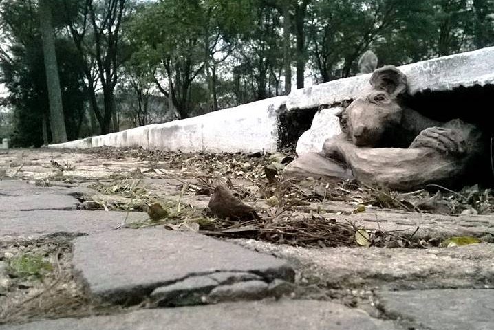 exposição narrativas urbanas