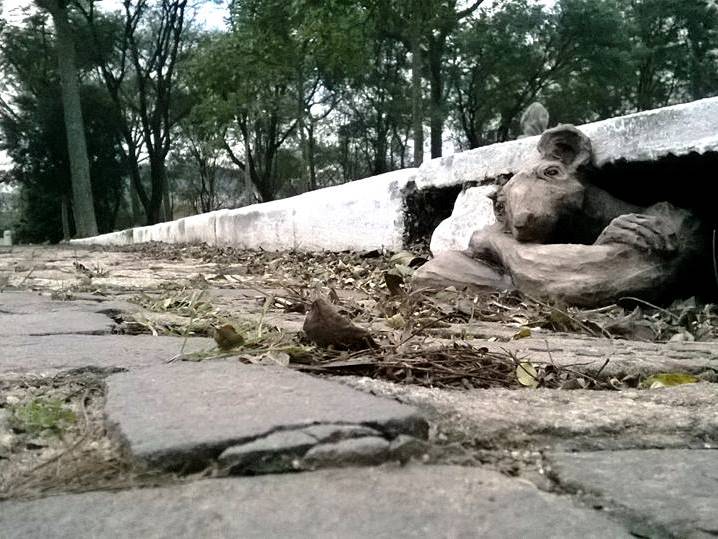 exposição narrativas urbanas