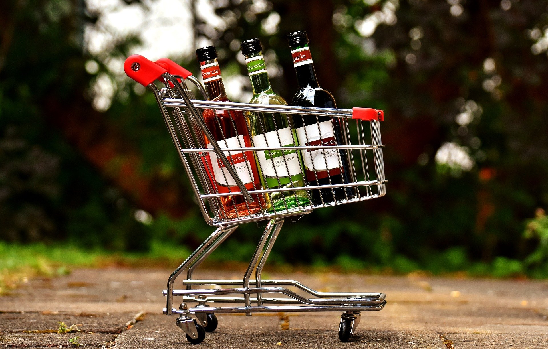como escolher vinhos
