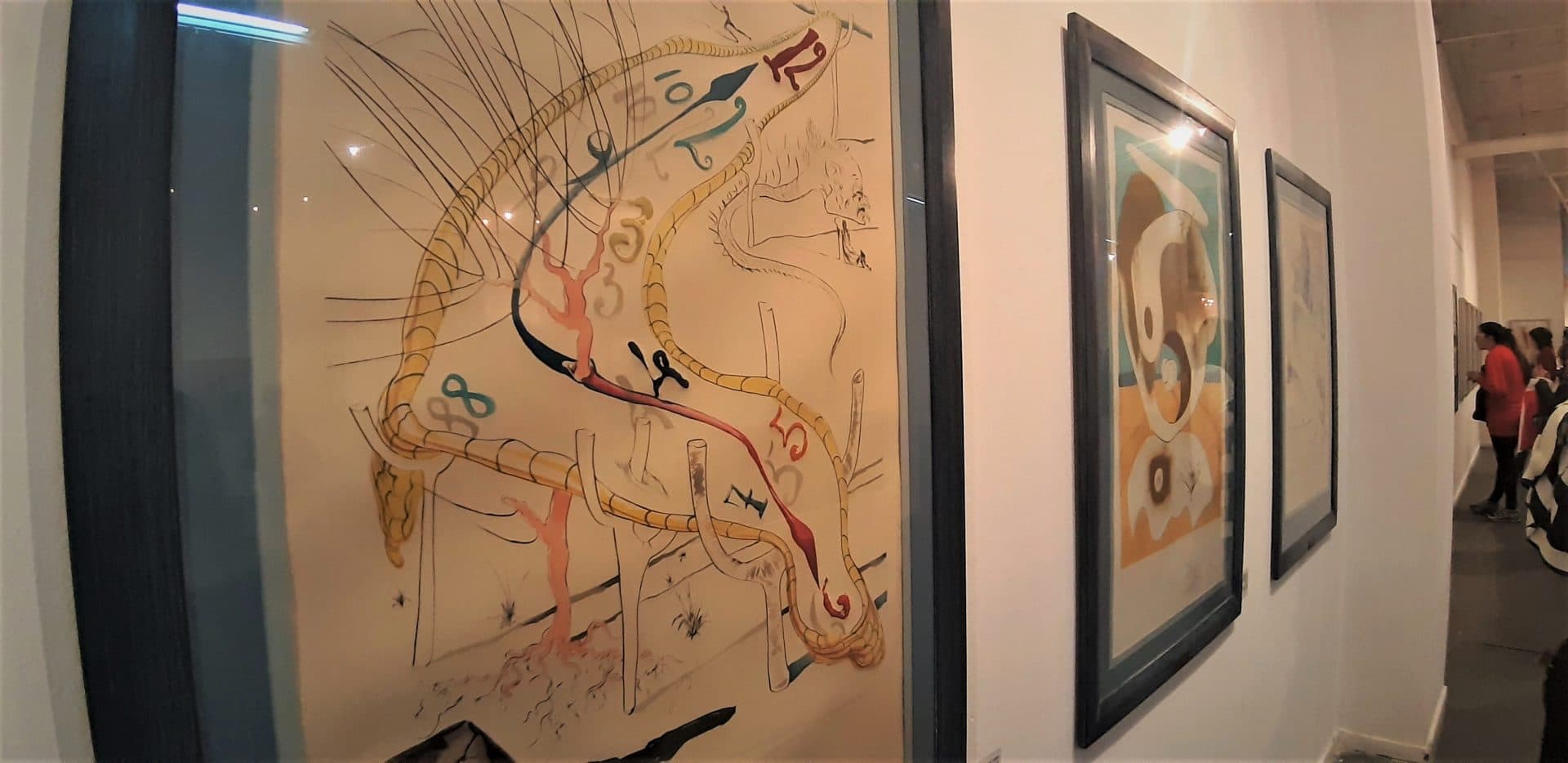 salvador dalí