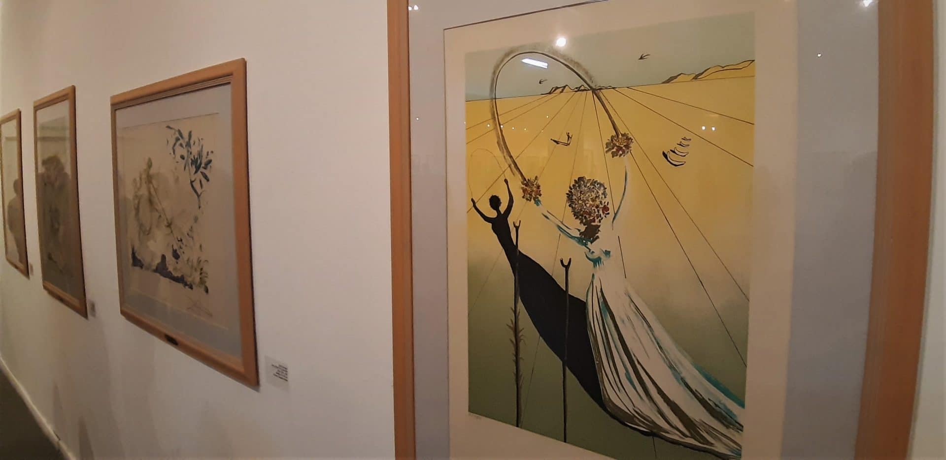 salvador dalí