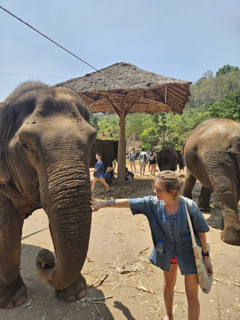 chiang mai - santuario de elefantes