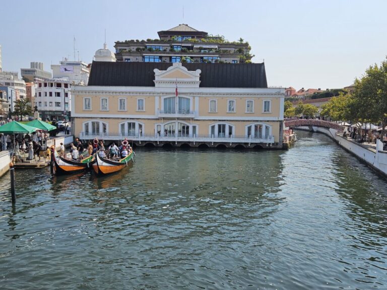 aveiro em um dia